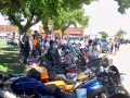 100_1800 - Copy - Copy.jpg